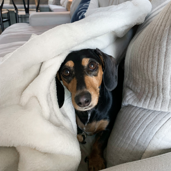 10 Taylor Swift-Inspired Makeup Looks To Wear to the Eras Tour