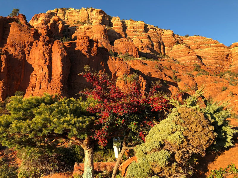 Traveling With Intention in Sedona, Arizona