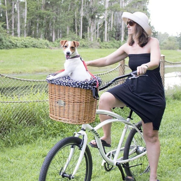 Minimalist Concept Dog Bicycle Basket