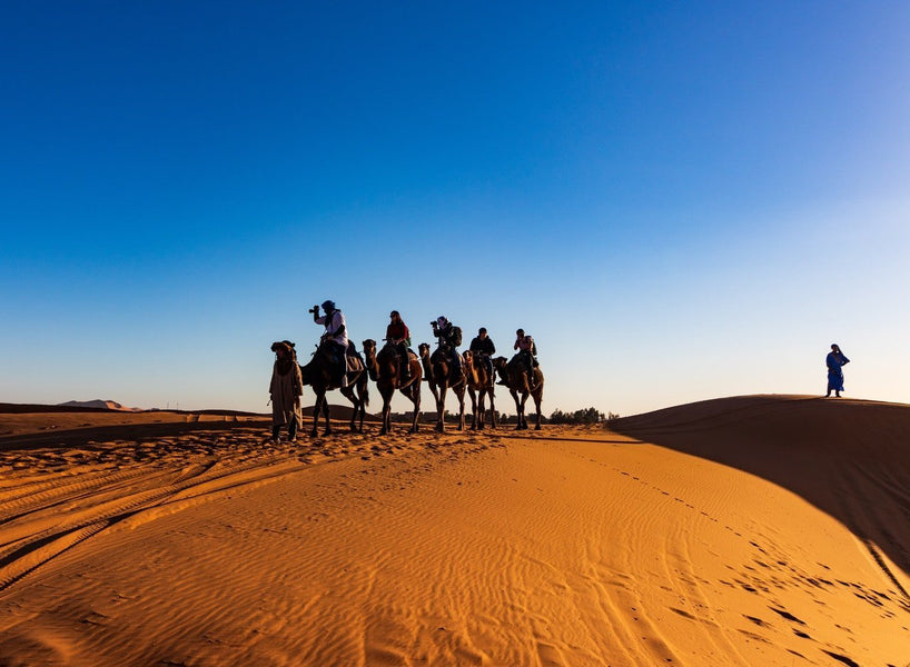 If you’re planning a trip to the largest hot desert in the entire world, there are some things to remember and know to make sure that your trip is enjoyable