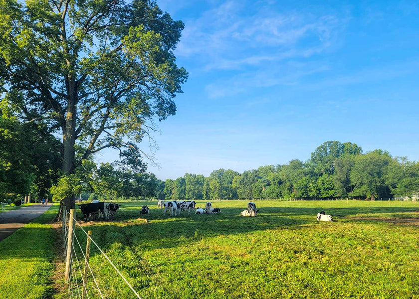 The Little Things Newsletter #324 – Life, laughter, and lots of great food!