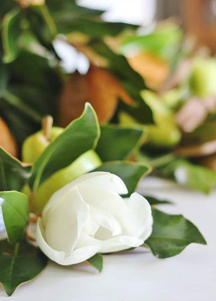 Five Life Lessons I Learned From Steel Magnolias