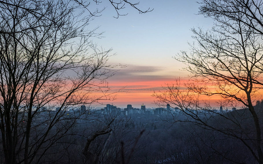 10+ Brilliant Hamilton Views for Sunrise, Sunset, Nature & More