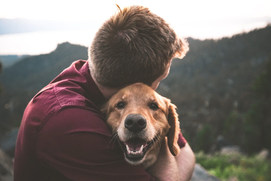 Best Animal-Friendly Father’s Day Gifts That Your Dad Will Actually Love